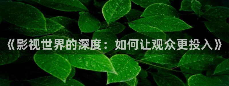 南瓜南瓜：《影视世界的深度：如何让观众更投入》