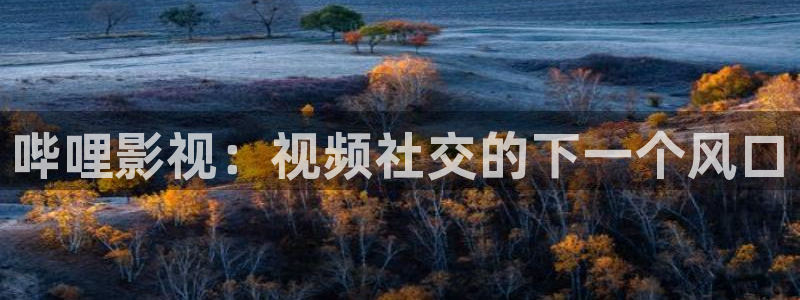 少年包青天1部40集免费南瓜影院：哔哩影视：视频社交的下一个风口