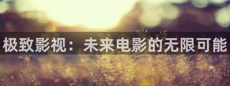 南瓜电影最新版：极致影视：未来电影的无限可能