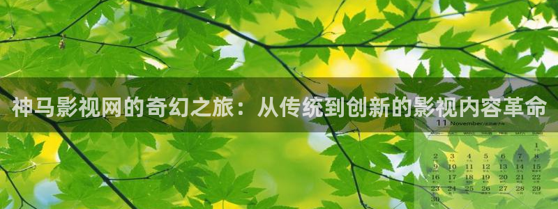 云南密本南瓜：神马影视网的奇幻之旅：从传统到创新的影视内容革命