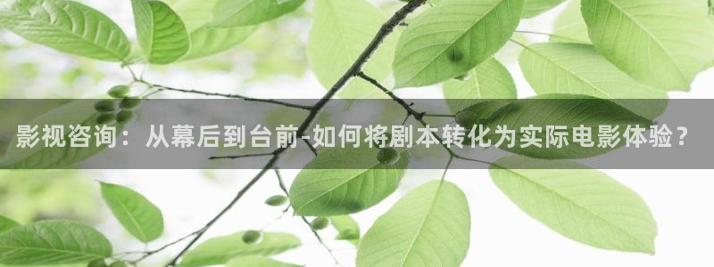 南瓜视频app：影视咨询：从幕后到台前-如何将剧本转化为实际电影体验？