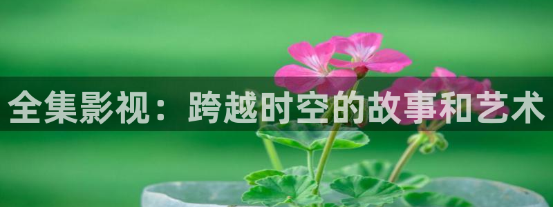 云南密本南瓜：全集影视：跨越时空的故事和艺术