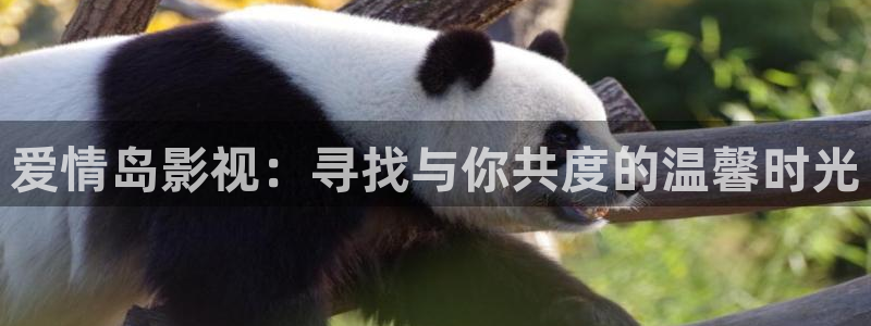南瓜盐城：爱情岛影视：寻找与你共度的温馨时光