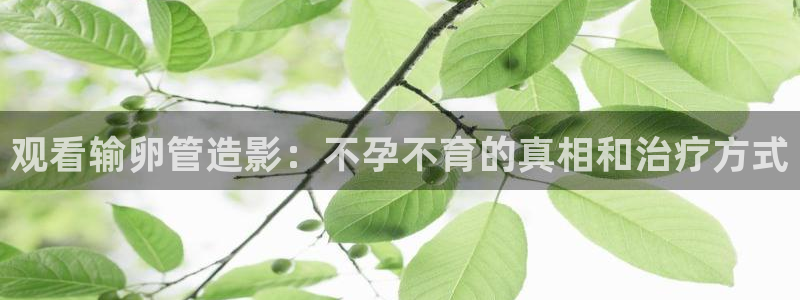 南瓜电影极速版：观看输卵管造影：不孕不育的真相和治疗方式